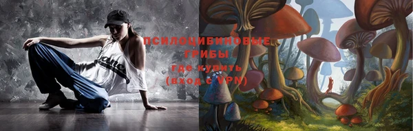 прущий лед Верея
