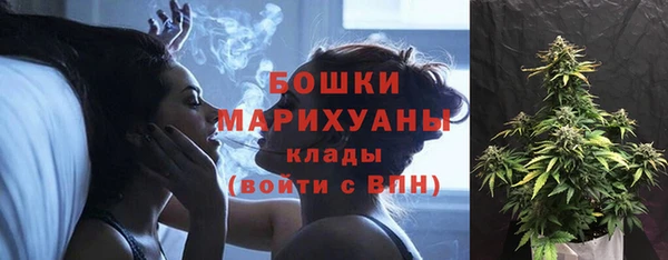 прущий лед Верея
