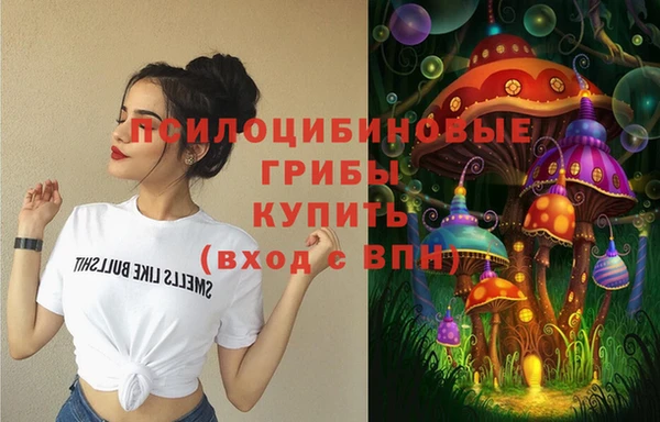 прущий лед Верея