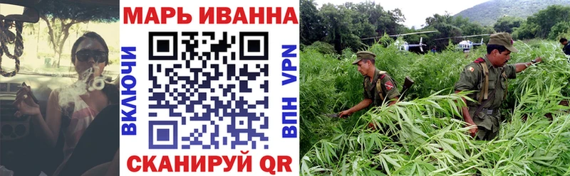 Купить где  Петровск  Каннабис индика 